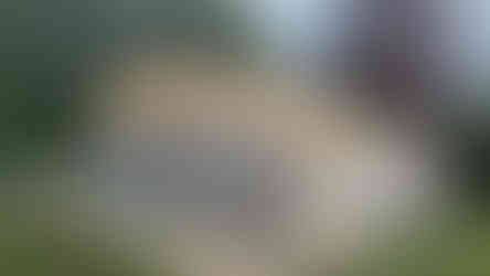 Oak Framed Carport Installation – Sutton Valence