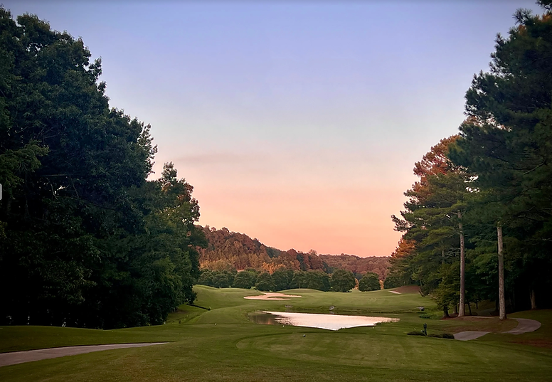 Screen Shot 2024-02-09 at 4.17.06 PM.png