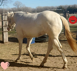 20240319_162402_edited.jpg