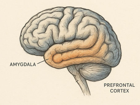 The Volcano in Your Client Meeting: A Realtor’s Guide to Staying Grounded