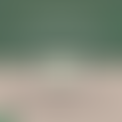 Climate Resilience Watch Party 2025