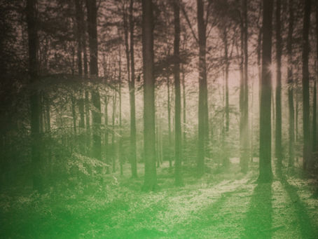 The No-Bullshit Guide to Mindfulness for Real Estate Agents: Your Year-End Reset