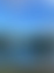 Wisdom from Life Experiences: Reflections from Montana