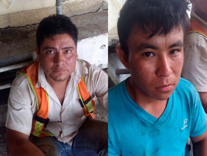 Los apañan por ratas en Cárdenas