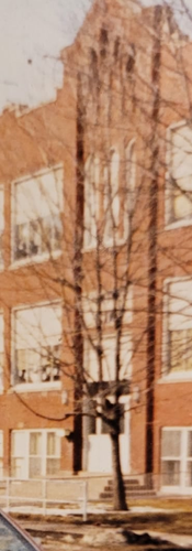 St. Patrick's Church and School open.