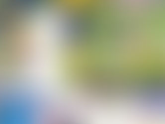 Magical Mystery Tour with Marrow Gallery