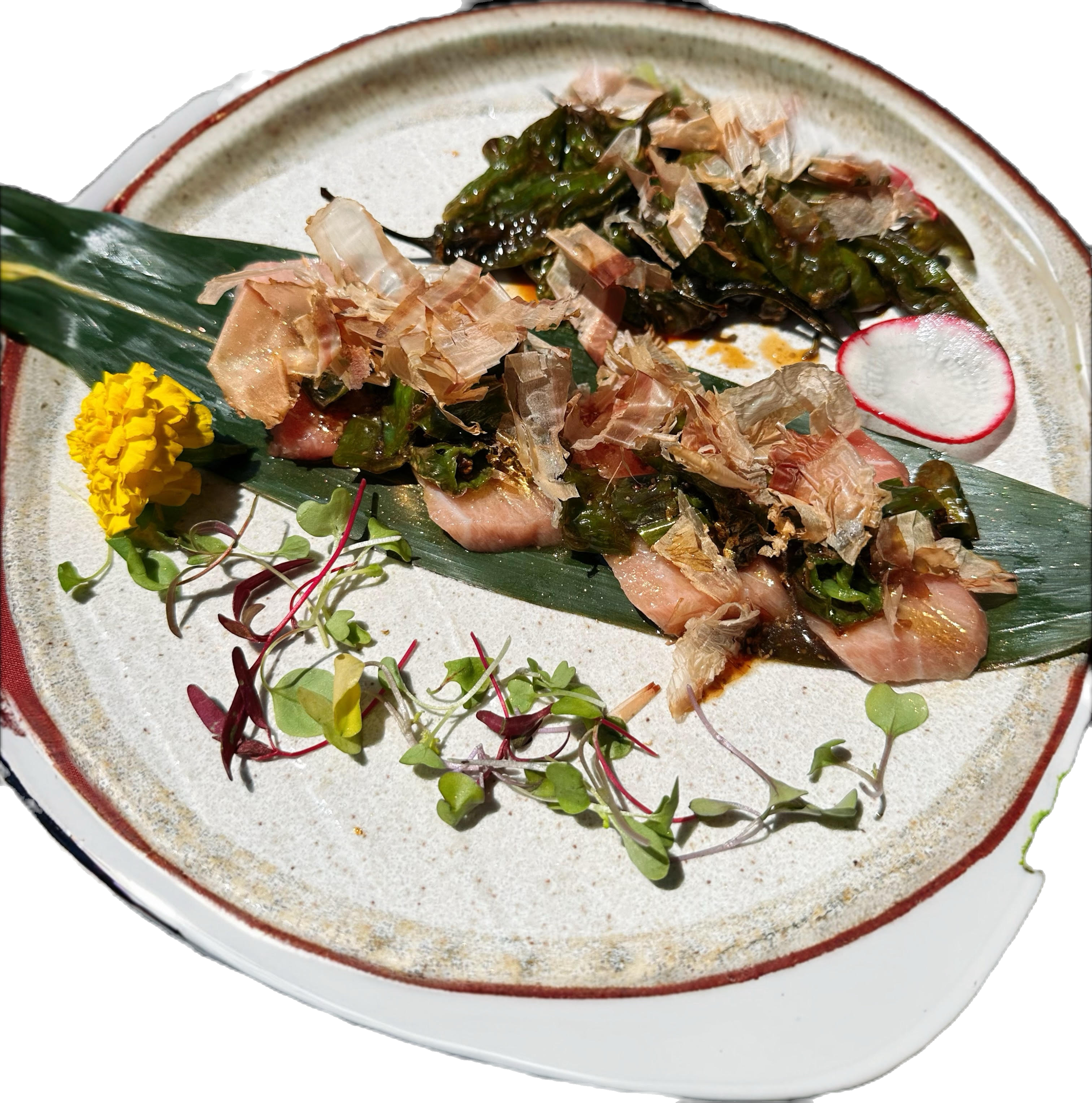 Shishito Toro Paradise