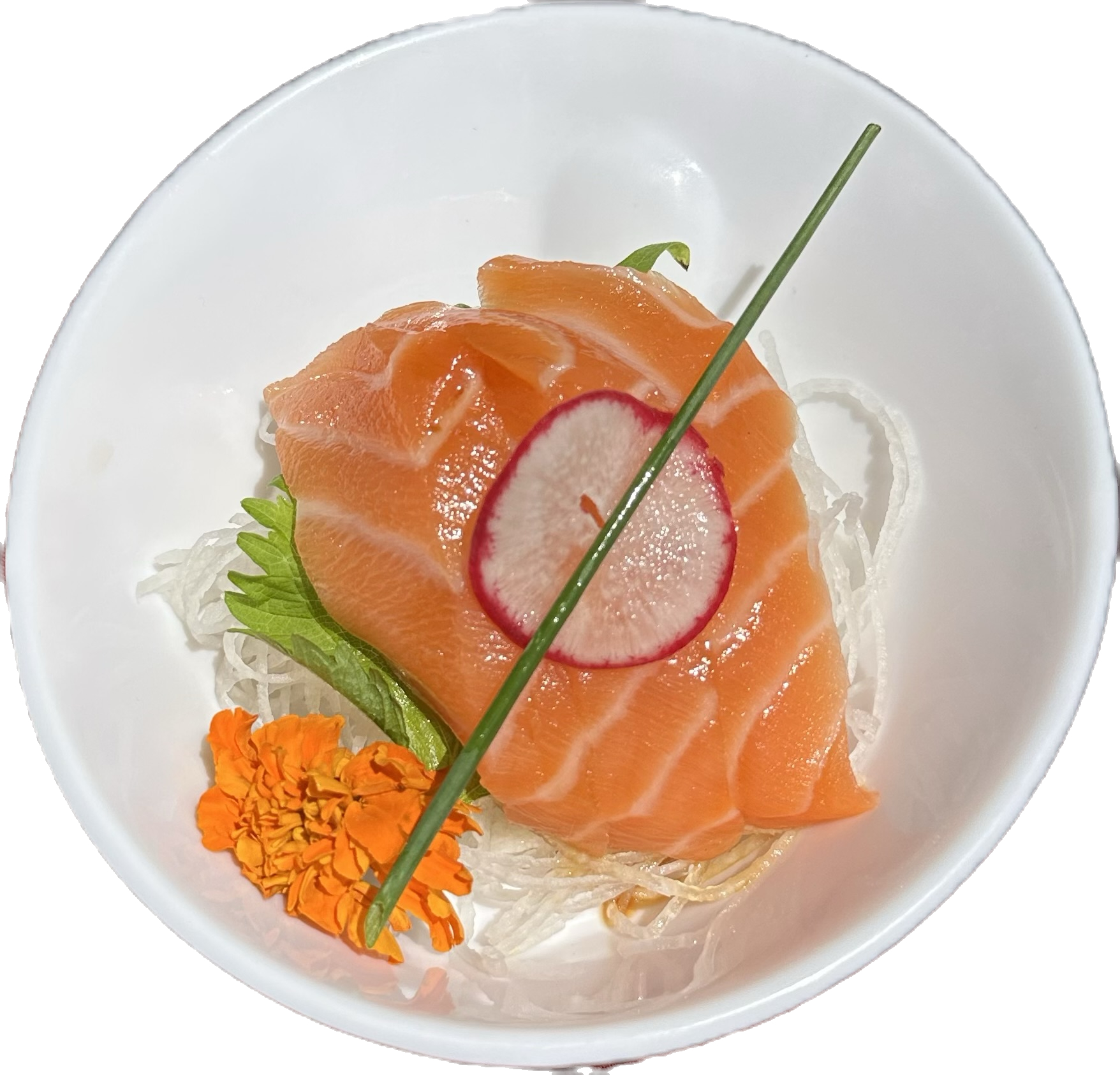 Salmon