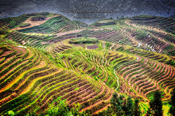 Guilin Terraces