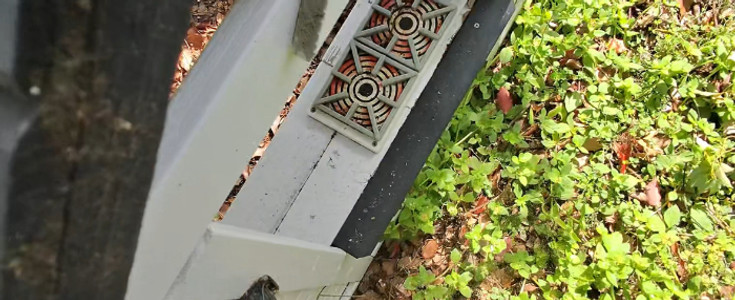 Residential Junk Removal