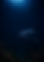 1e614c05572fd5be5fa7455251dca0d4f6cd9084.png