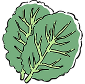 ケールイラスト
