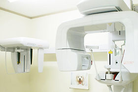歯科用CT