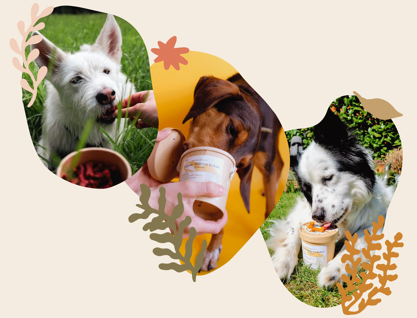 Landingpage-Animation-kleiner-schmaler.gif