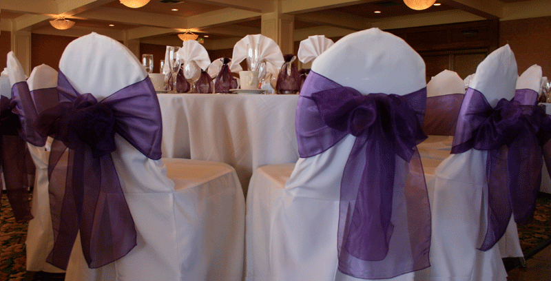 TISSUE SASH