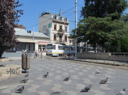 IMG_1763.JPG