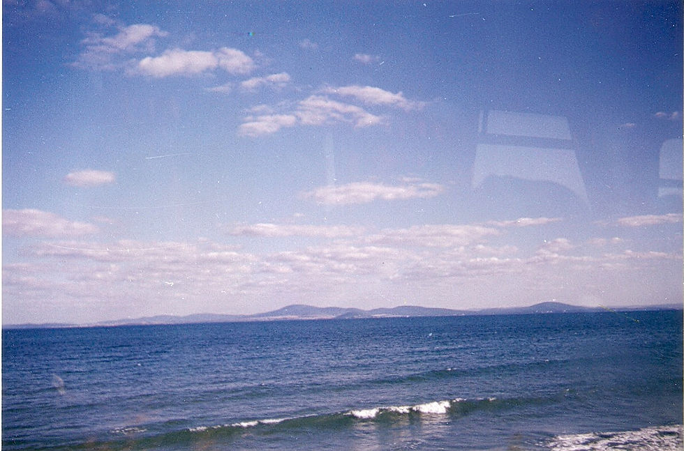 сканирование0040.jpg