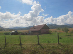 IMG_1476.JPG