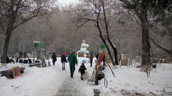 DSC_0531.JPG