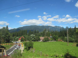 IMG_1654.JPG