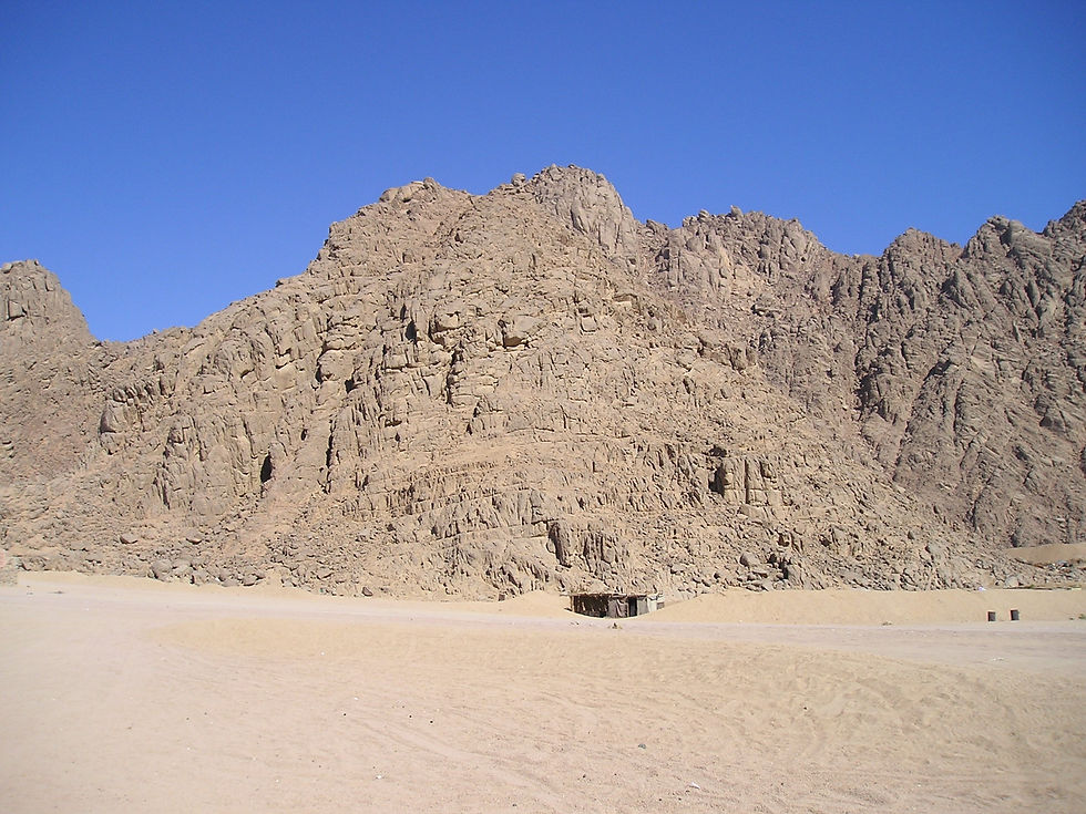 PB220021.JPG