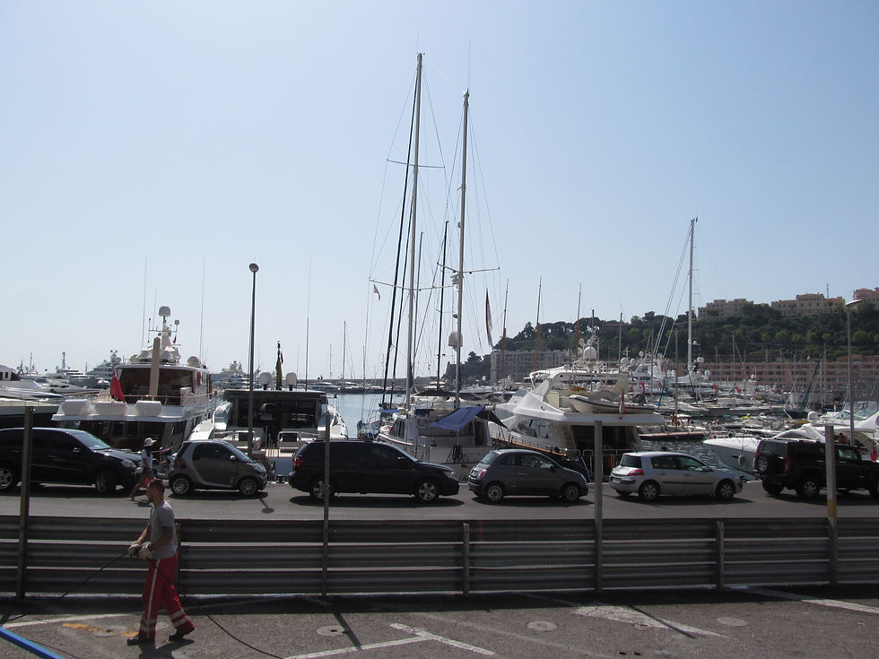 IMG_3726.JPG