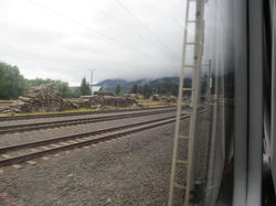 IMG_1339.JPG