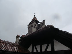 IMG_1408.JPG