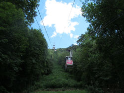 IMG_1499.JPG
