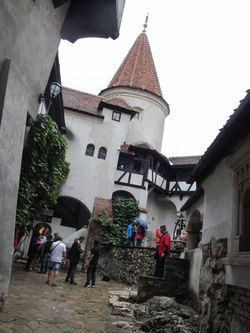 IMG_1386.JPG