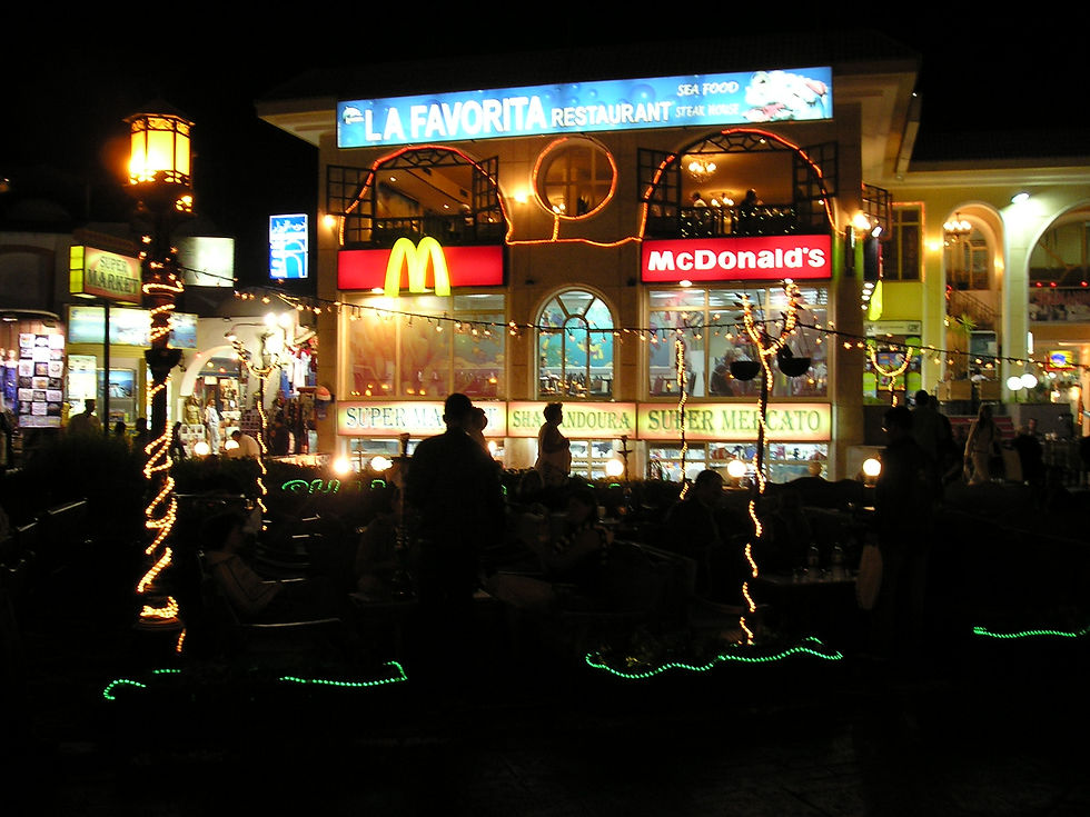 PB210012.JPG