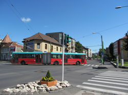 IMG_1606.JPG
