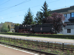 IMG_1637.JPG