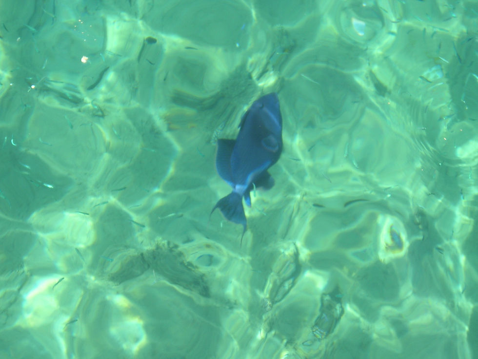 PB210088.JPG