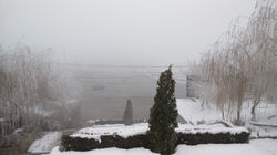 DSC_0507.JPG