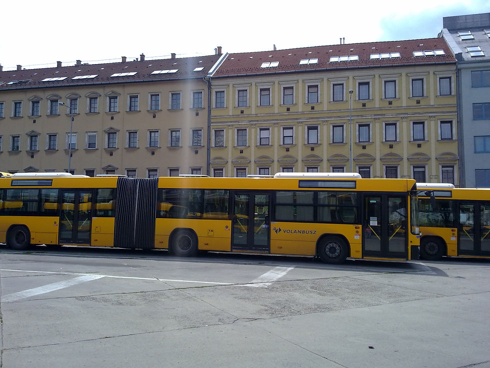 30072011415.jpg