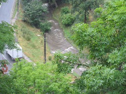 IMG_1423.JPG