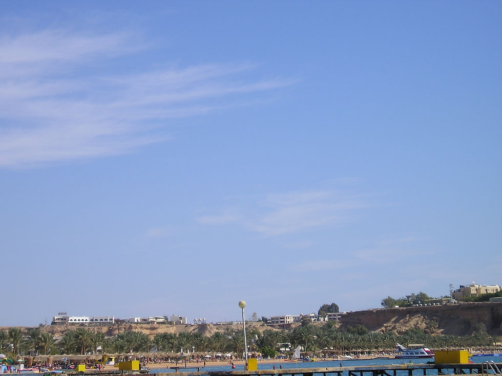 PB200009.JPG