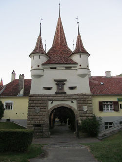 IMG_1555.JPG