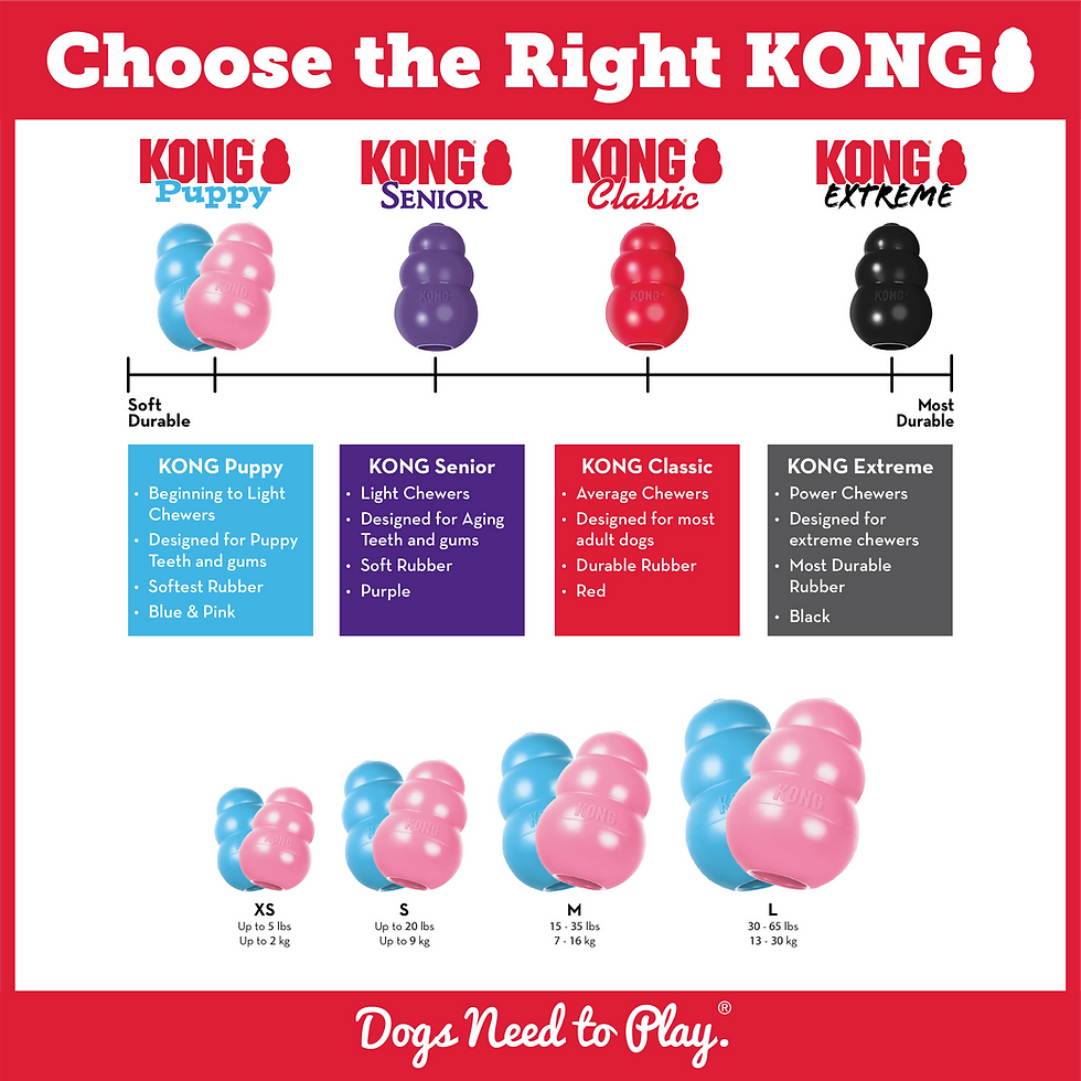 Thumbnail: KONG Puppy Medium