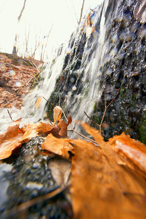 Waterfall Close Wide