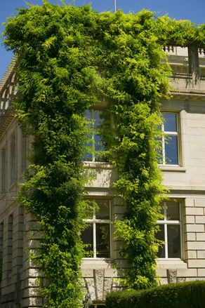 Green Building Zurich