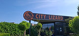 IMG-20250801-WA0014.jpg