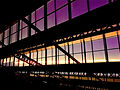 IMG-20250801-WA0016.jpg