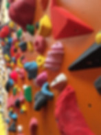 Klimmuur_close-up.jpg