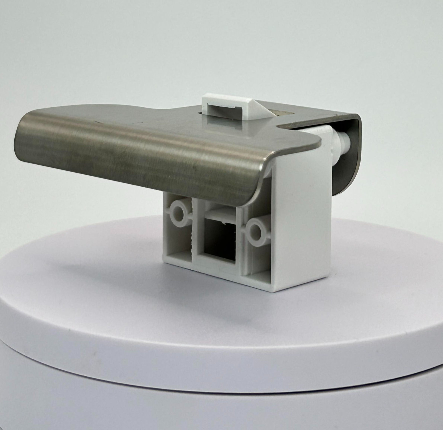 D100SS: pestillo de acero inoxidable de 100 mm