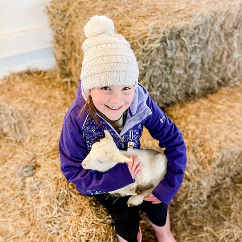 kid holding a lamb