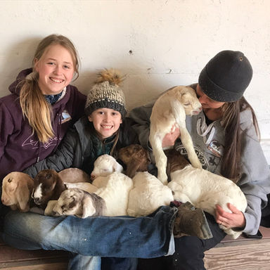 family holding lambs