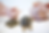 Gallery_015.png