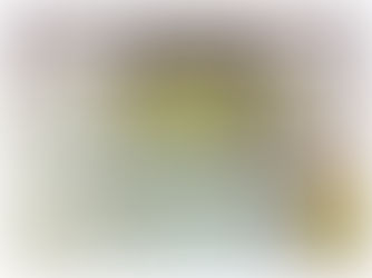 Gavril of Aquina Receives Honorable Mention